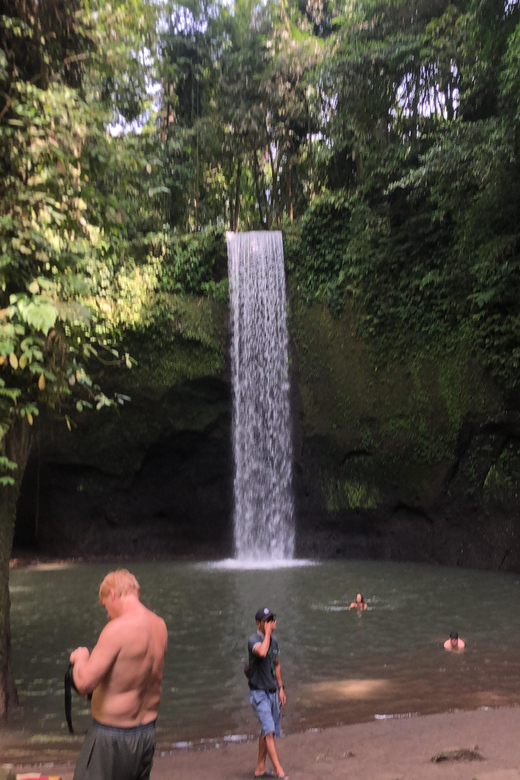 Waterfall & Coffe Tester