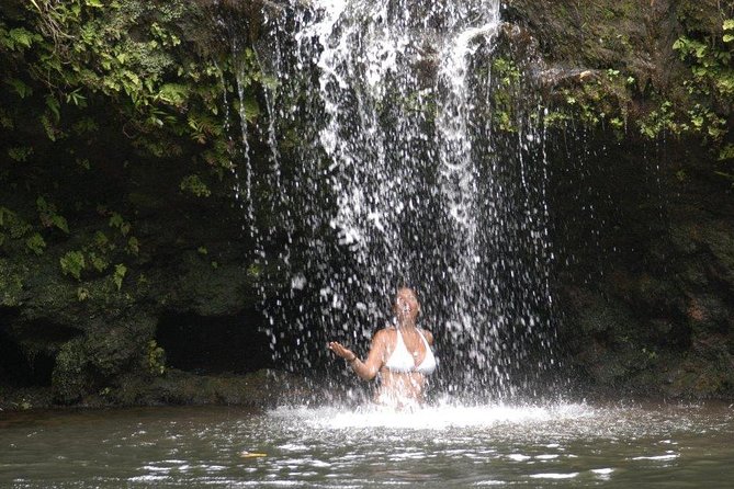 Waterfall & Rainforest Hiking Adventure With Hotel Pickup - Highlights of the Hike
