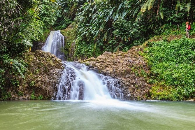 Waterfalls Adventure Hikes in St. Georges, Grenada