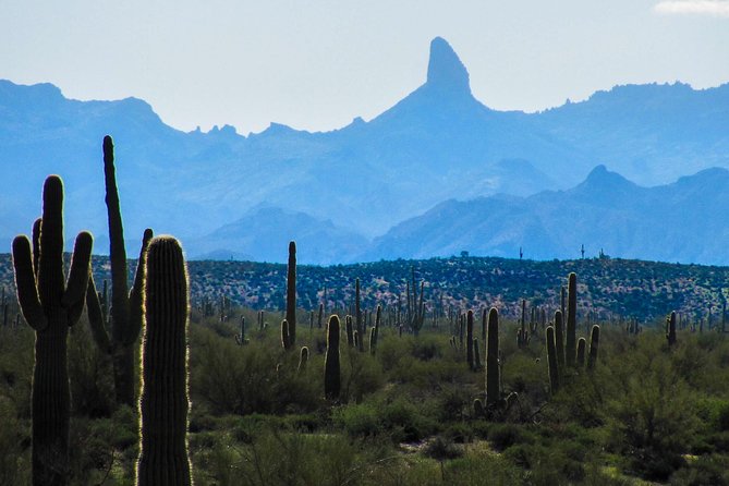 Wilderness Hiking Tours: A Complete Review - Overview of Wilderness Hiking Tours