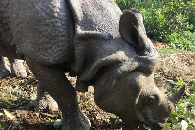 Wildlife Adventure in Chitwan Nepal - Package Inclusions