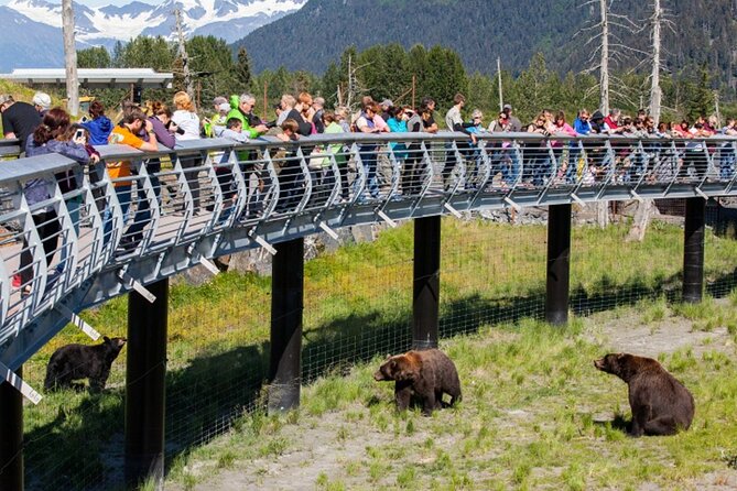 Wildlife Conservation Center and Portage Glacier Lake Viewing - Overview of the Activity