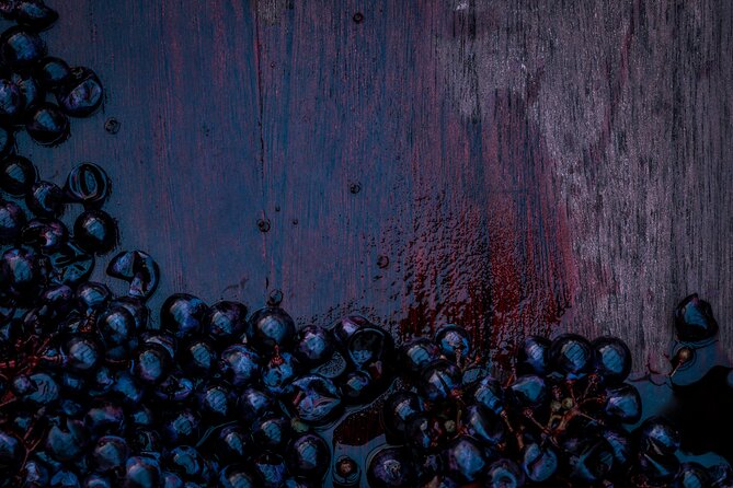 Willamette Wine Tour From Newberg (Tasting Fees Included)