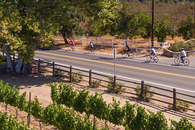 Wine Country E-Bike Guided Tour - W/O Lunch - Experience Highlights