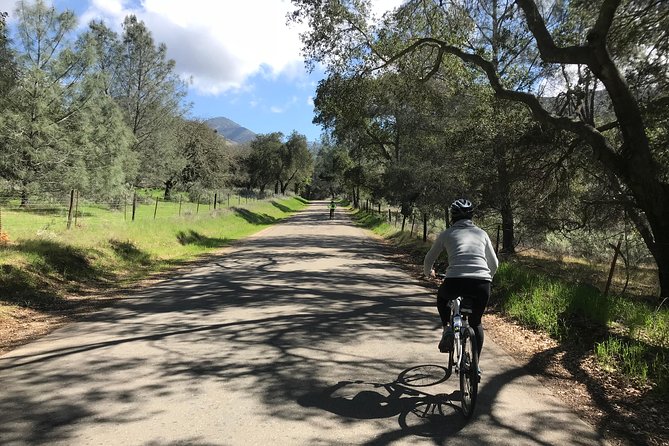 Wine Country Half-Day Bike Tour From Solvang - W/O Lunch - Inclusions