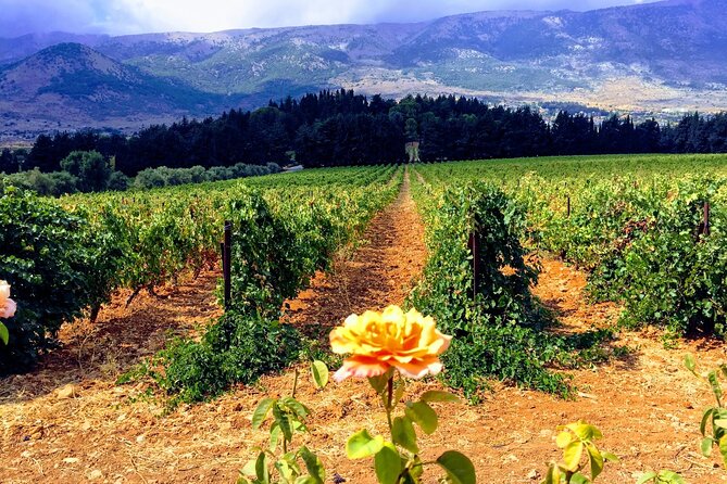 Wine Tasting and Culture