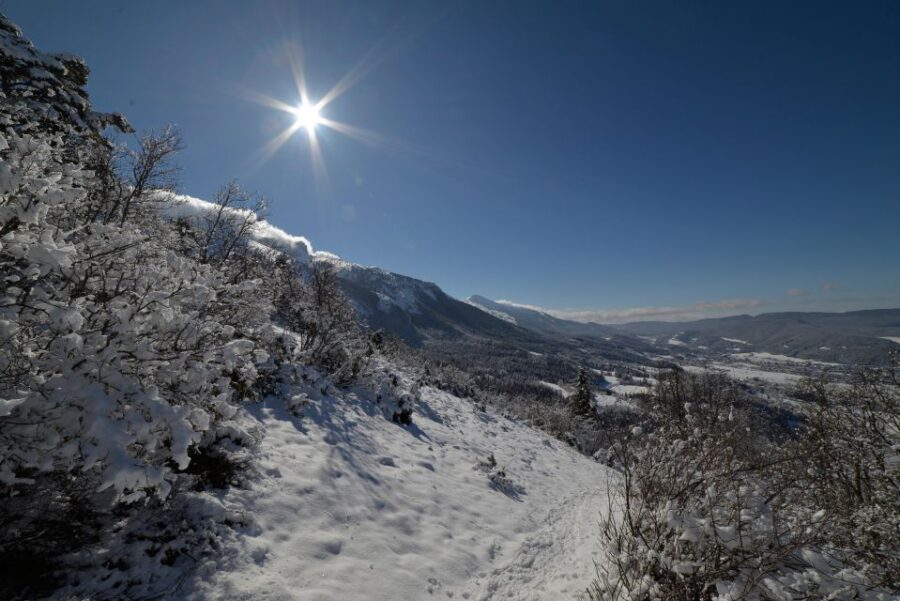 Winter Wonderland Expedition, Snowshoe Journey Into the Wild