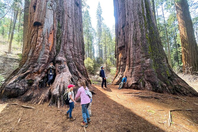 Yosemite Magic: Highlights, Sunset, and Smores