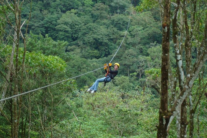 Zip Lining Adventure From San José