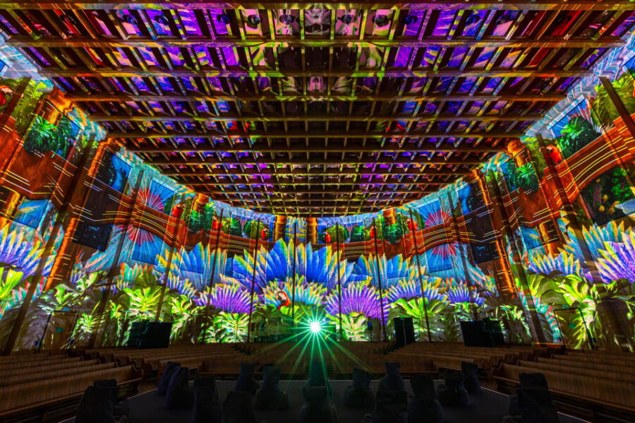Zurich: Pixel Zoo Jungle – an Immersive Journey Through the Rainforests