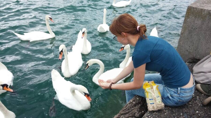 Zurich: Private Walking Tour With a Tour Guide - Customization and Flexibility