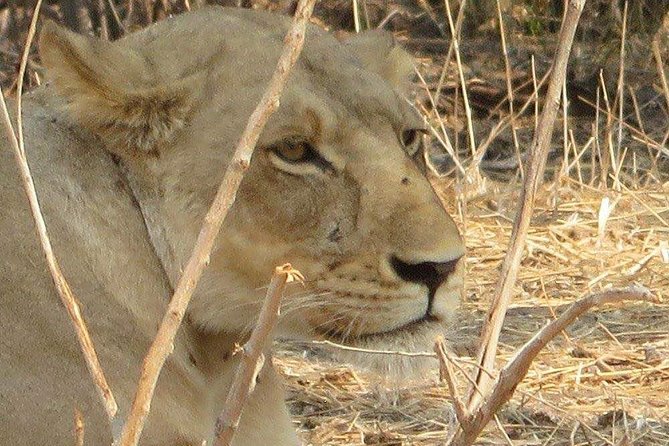 2-Day Safari to Ruaha National Park