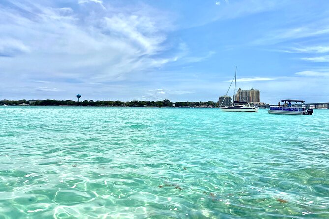 2 Hours Guided Afternoon Dolphin Tour Review - About Your Stay