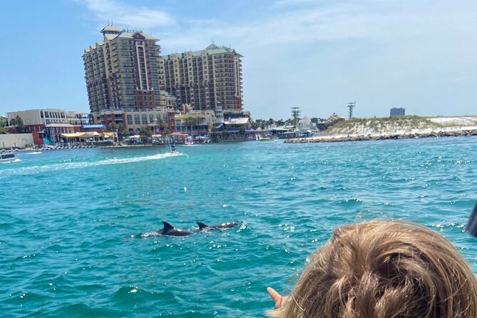 2 Hours Guided Afternoon Dolphin Tour Review - Meeting and Pickup Details