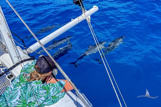3hr Luxury Private Sailing Catamaran in Waikiki for 1 to 6 People - Amenities and Inclusions