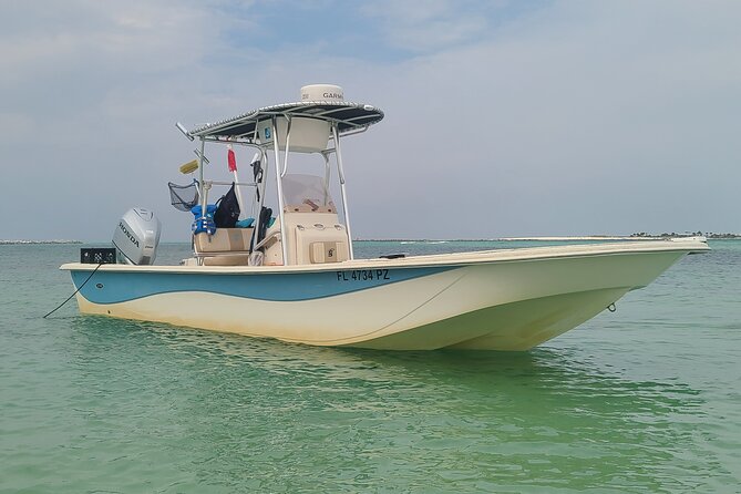 4 Hour Eco Dolphin Tour in Panama Review - Starting the Adventure: Meeting Point Details