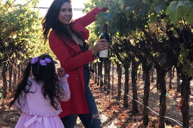 8 Hours 12 Passengers Limo Bus for Napa or Sonoma Wine Tour - Inclusions