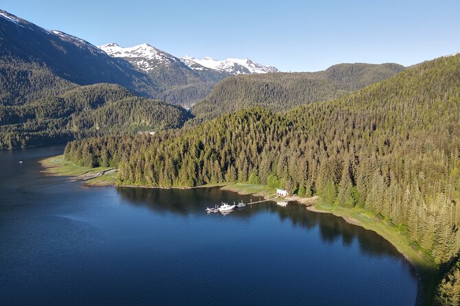 Alaska Bears and Silver Bay Homestead Review - How to Prepare for Your Visit
