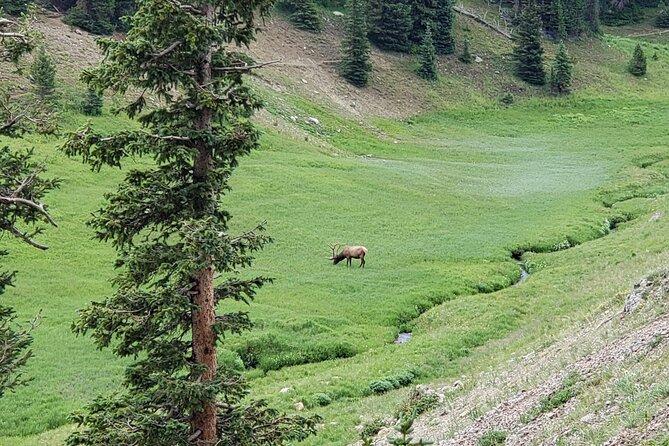 All Day Rocky Mountain National Park Tour Review - Booking Process and Pricing Details