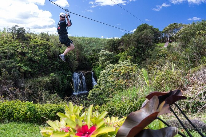 Big Island Zipline Over Kolekole Falls W/ Hilo Cruise Ship Pickup - Location and Provider