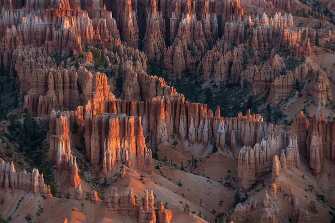 Bryce Canyon Photography Tours Review - What the Tour Includes