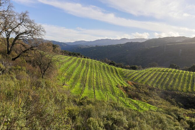 Calaveras and Tuolumne Digital Wine Tasting Pass - Accessibility and Suitability