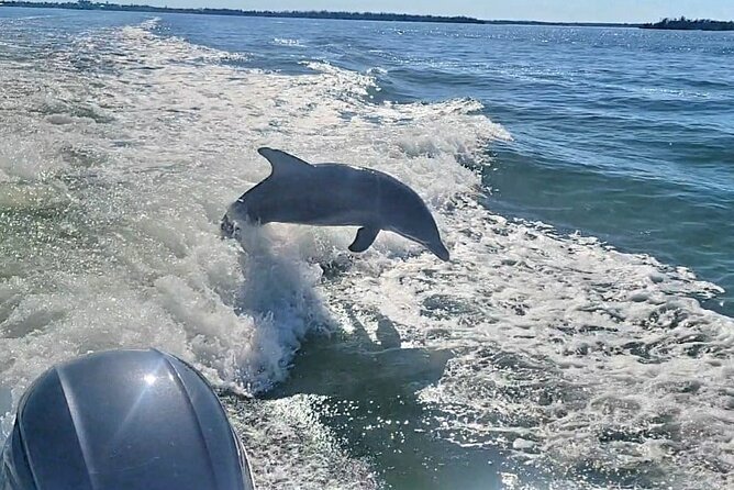 Cayo Costa Private Power Boat Experience - Inclusions and Amenities