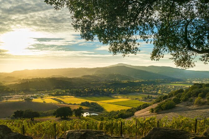 Day Private Russian River Valley Wine Tour From San Francisco - Winery Visits and Tastings