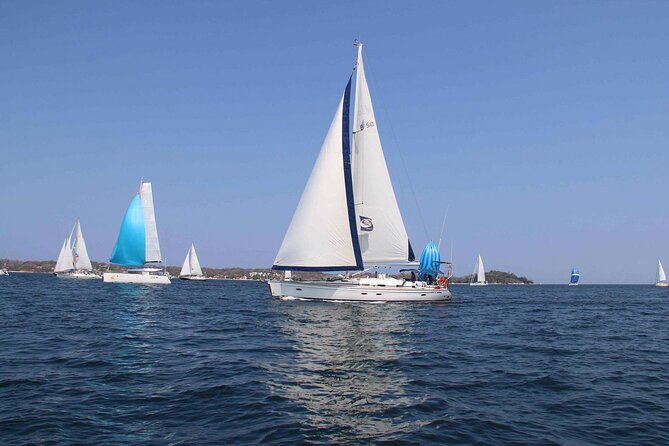 Day Sailing Adventure in the Florida Marine Sanctuary - Included Experiences