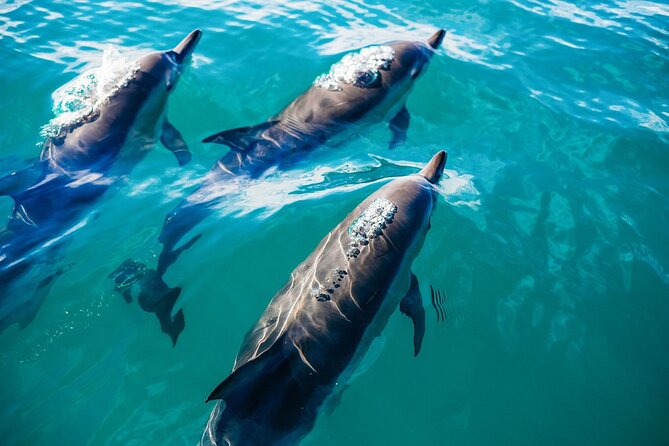Day Trip to Key West With Optional Activities From Miami - Itinerary and Activities