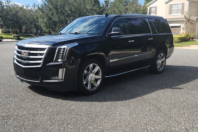 Disney Hotels To/From Port Canaveral Private Van Transfer - Pickup and Drop-off Information