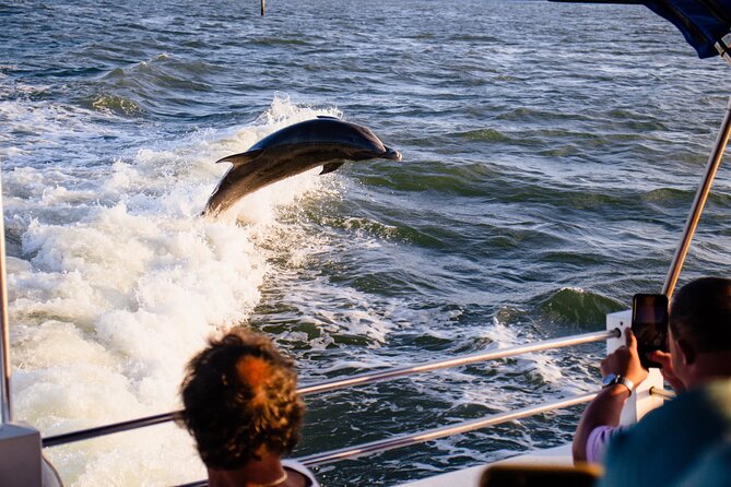 Dolphin and Shelling Cruise Tour Review - Booking Process and Pricing Details