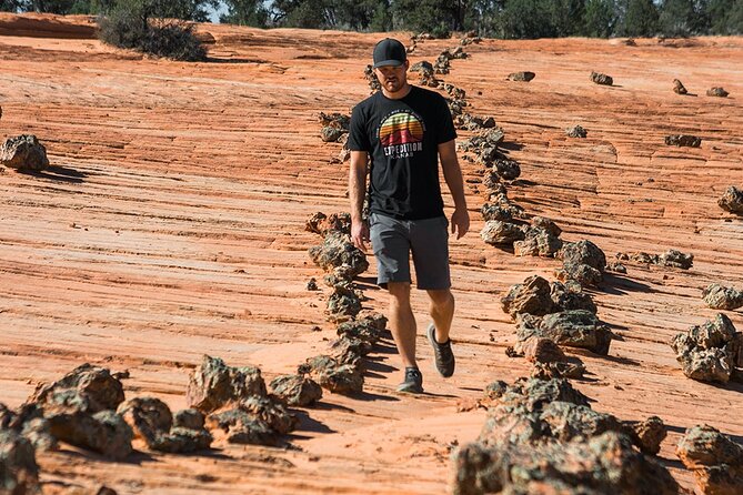 East Zion Outback UTV Tour With Licensed Guide - Tour Logistics
