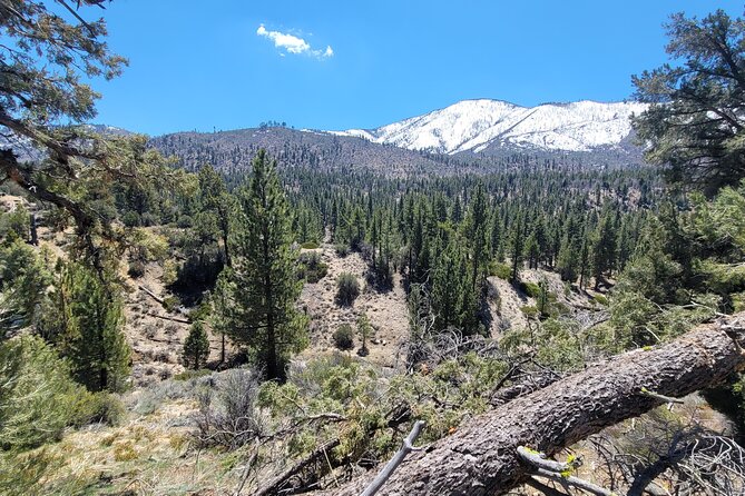 From San Diego: Two-Day Kayaking & Hiking at Big Bear Lake - Highlights of the Kayaking Experience