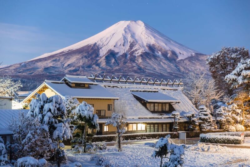 From Tokyo: Chureito Pagoda、Mount Fuji Sightseeing Day Tour - Itinerary Highlights