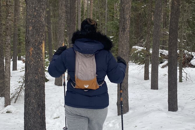Frozen Waterfall Snowshoe Tour Review - Meeting and Starting Point Details