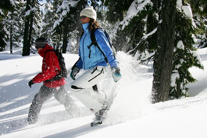 Guided Snowshoe Tour in Bend Review - Whats Included in the Tour