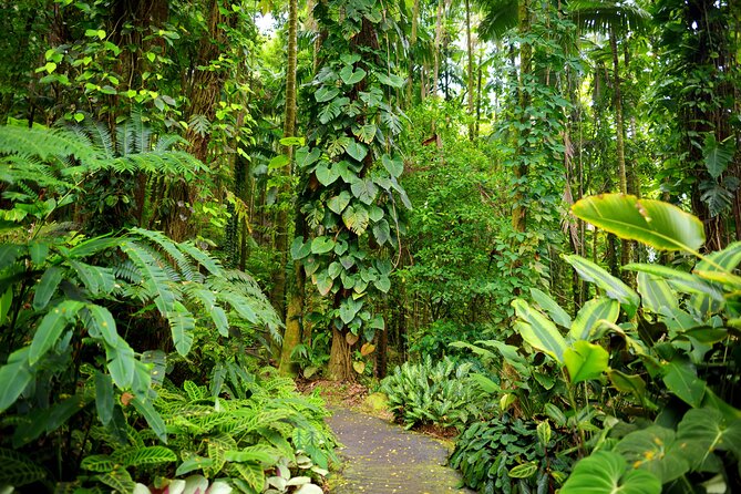 Halfway to Hana Tour Review: A Hidden Gem - What to Expect at the Garden of Eden
