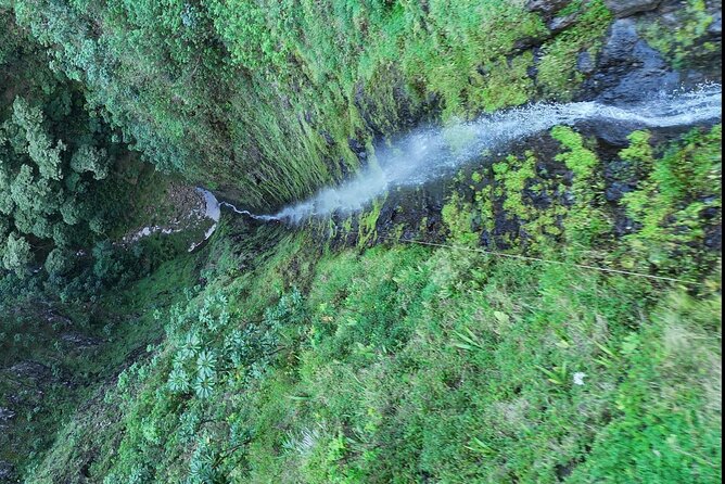 Hawaii Oahu Canyon Rappel & Hike Expedition Tour - Safety Measures and Guidelines