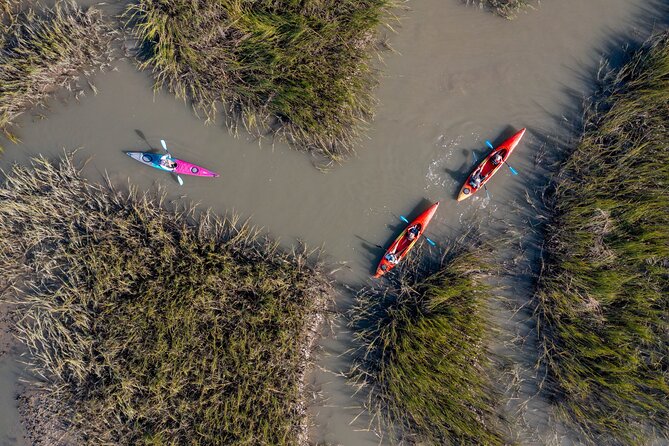 Kayak Activity and Sightseeing in Dolphin Safari Review - Detailed Guide to the Meeting Point and Travel Logistics