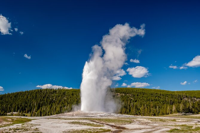 Luxury Grand Loop Tour of Yellowstone National Park - Accessibility