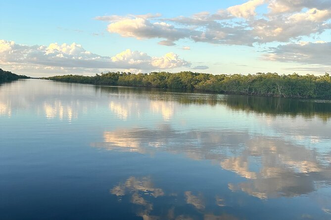 Mangrove and Gulf Excursion Tour - Tour Inclusions