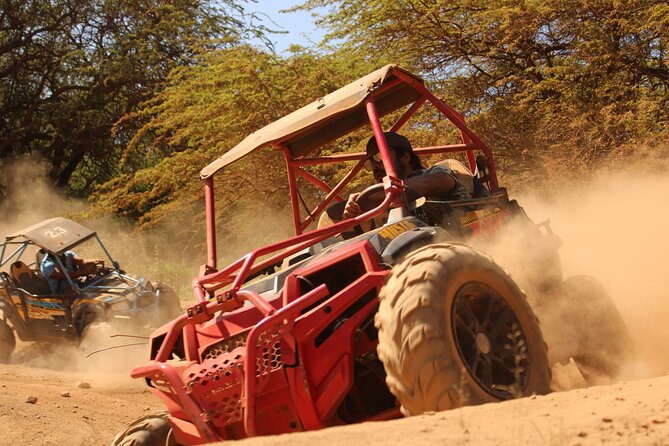 Oahu Off-Road ATV Adventure Review - Meeting Points and Transportation Options