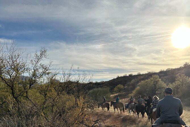One Hour Guided Horseback Ride - Schedule and Participation