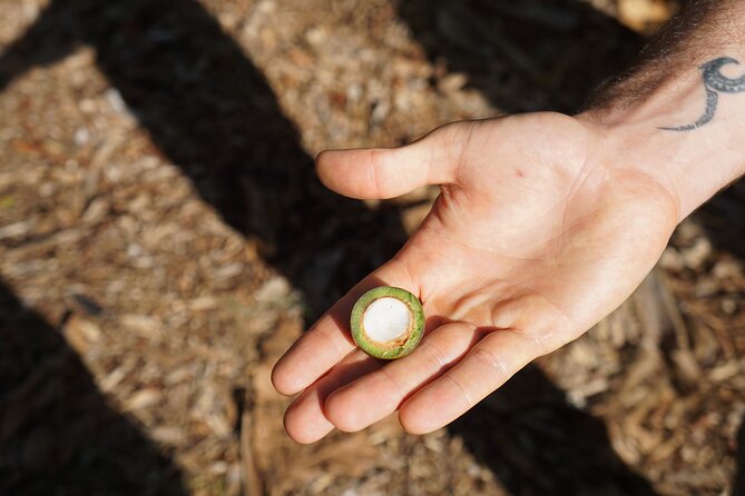 Private Botanical Garden Experience in the Heart of Maui - Exploring the Diverse Plant Life
