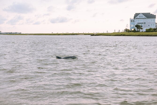 Private Charleston Dolphin Tour - Meeting Point