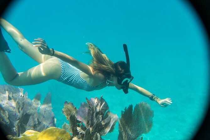 Private Charter 6 Passenger Sandbar, Snorkel, Dolphins - Meeting Point and Location