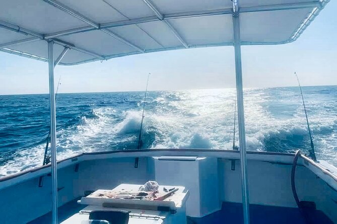Private Dolphin Cruise in Panama City Beach - Meeting and Pickup