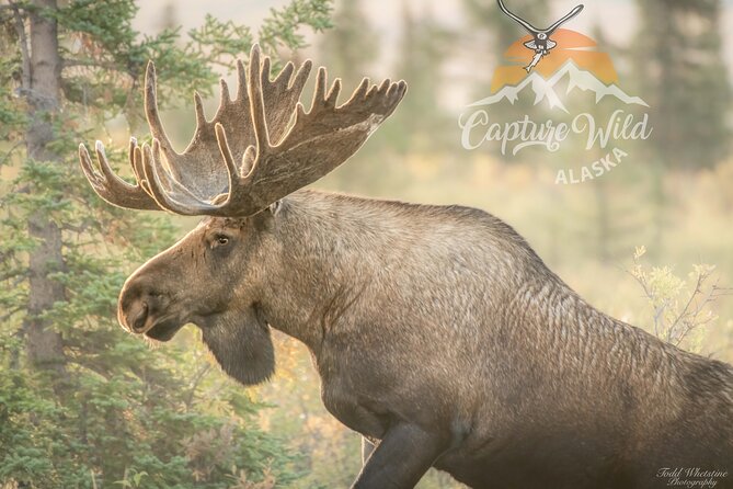 Private Full Day Photography Workshop of Fairbanks - Pickup Information