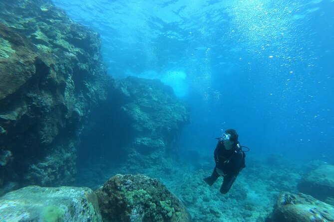 Private Guided Shore Dive - Meeting and Pickup Details
